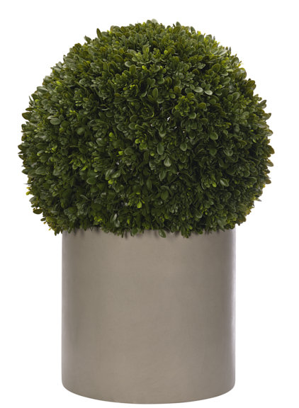 UV RATED | Boxwood Ball, Con Planter, 22wx22dx33h