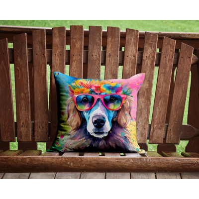 Other/No Pattern Outdoor Throw Pillow