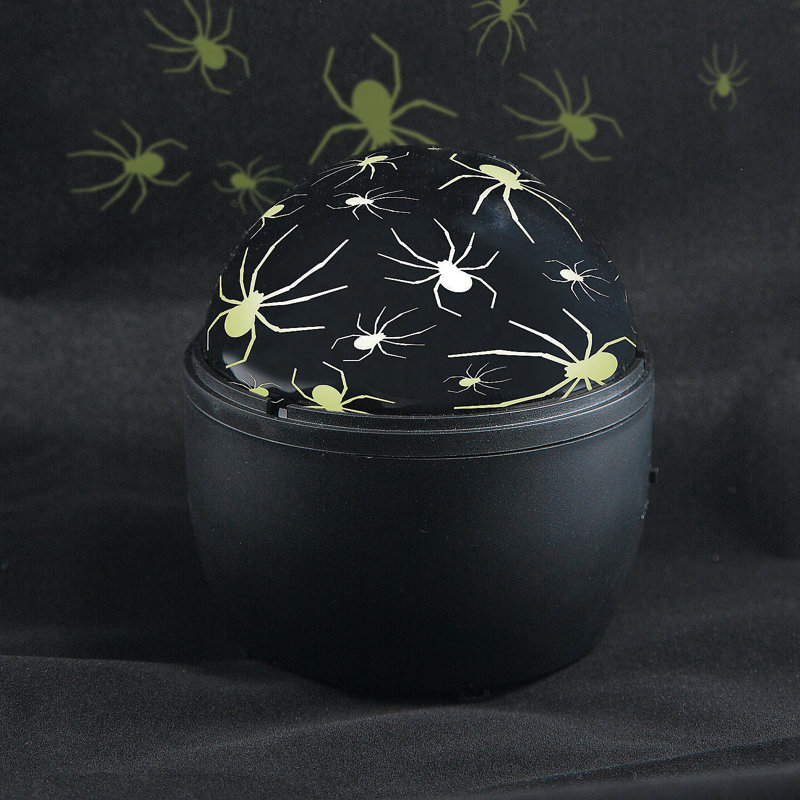 Halloween Spider Lantern