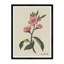 Cherry Blossom Print