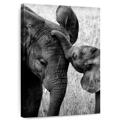 Elephant Parenthood