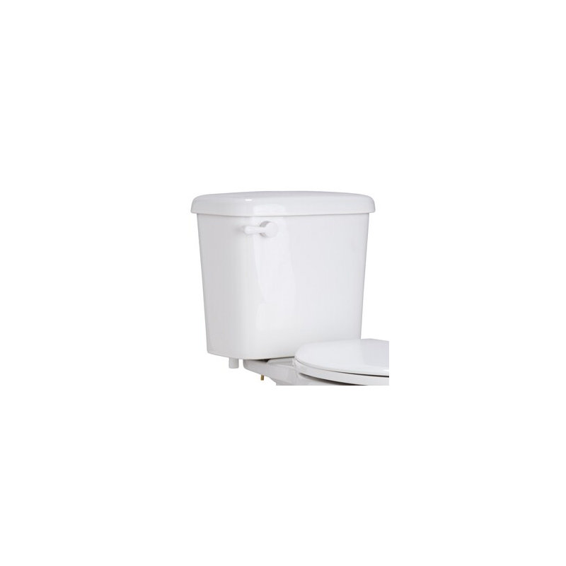 Proflo 0,8 GPF, Côté gauche, 12"