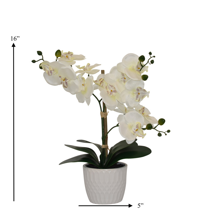 Arrangement floral orchidée de bureau dans un vase, Blanc