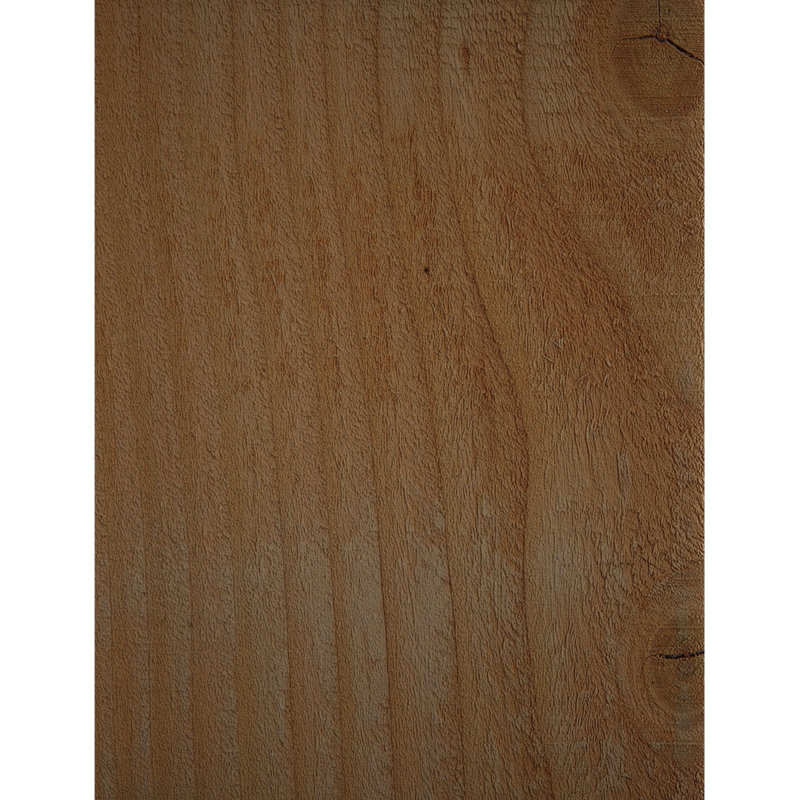 Yorktown, Sapin de Douglas, 10"H x 6"W x 12"L