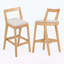 Chaises d'appoint d'intérieur, ensemble de 2-423066229