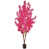 Rose est en rupture de stock
