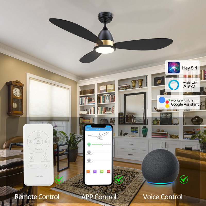 Elazar 52'' Ceiling Fan with LED Lights, Black