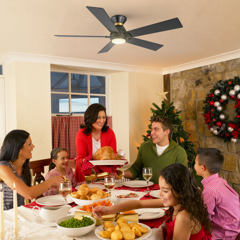 Georgann 52'' Ceiling Fan with LED Lights, Black
