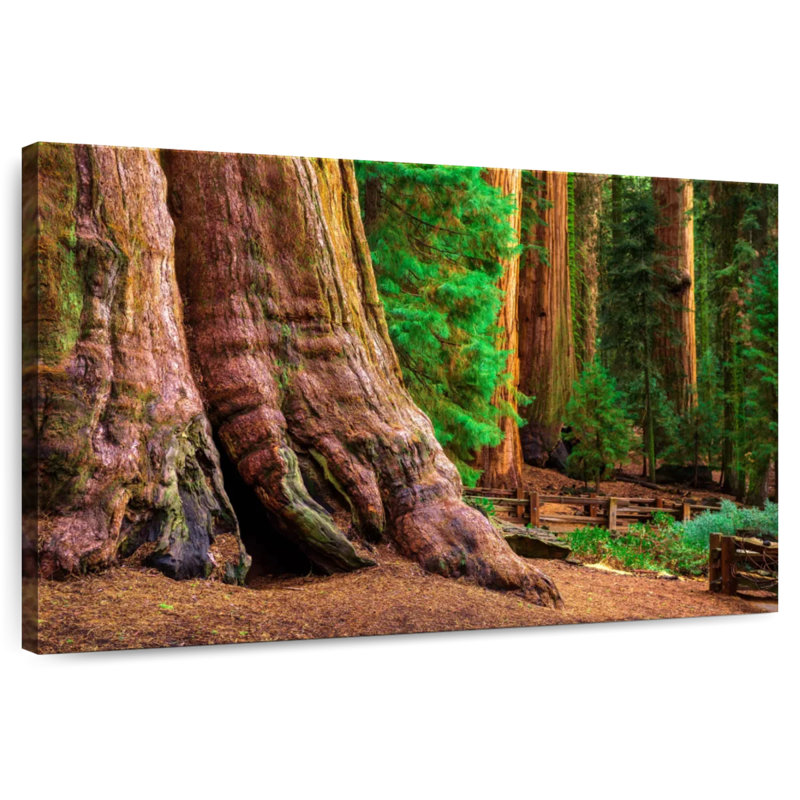 Harnek Sturdy Sequoia Tree, 24" H x 36" W