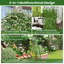 Metal Arched Trellis-114426209
