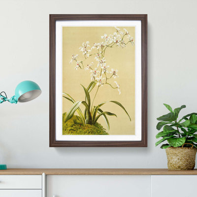 Magnolia Flowers Illustration Tab. 41 by Frederick Sander - Picture Frame Painting Print