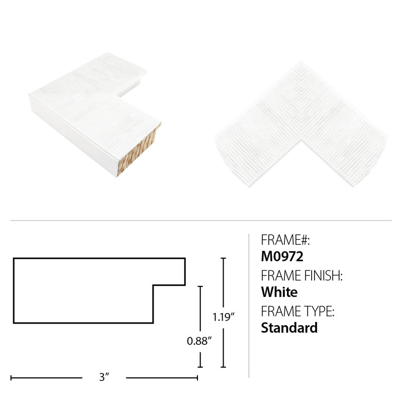 «Botany on Blue 1» par Lillian August - cadre photo, impression sur papier