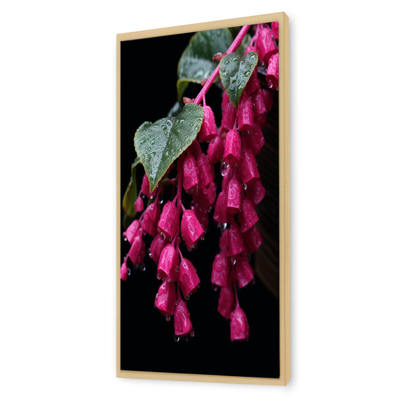 Colibri rose fuchsia I - art mural fuchsia, Cadre flottant brun, H 60 po x l 28 po x P 1,5 po