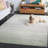 Mizelle Performance Rug-98673832