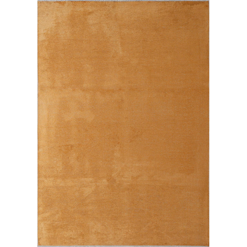 Alondo Solid Colour Hand Loom Indoor / Outdoor Area Rug, Rectangle 240 x 300cm