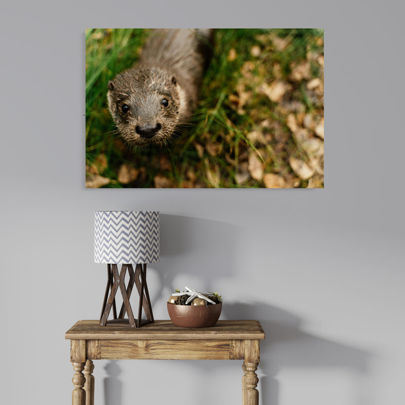 Head of Nutria, 8" H x 12" W
