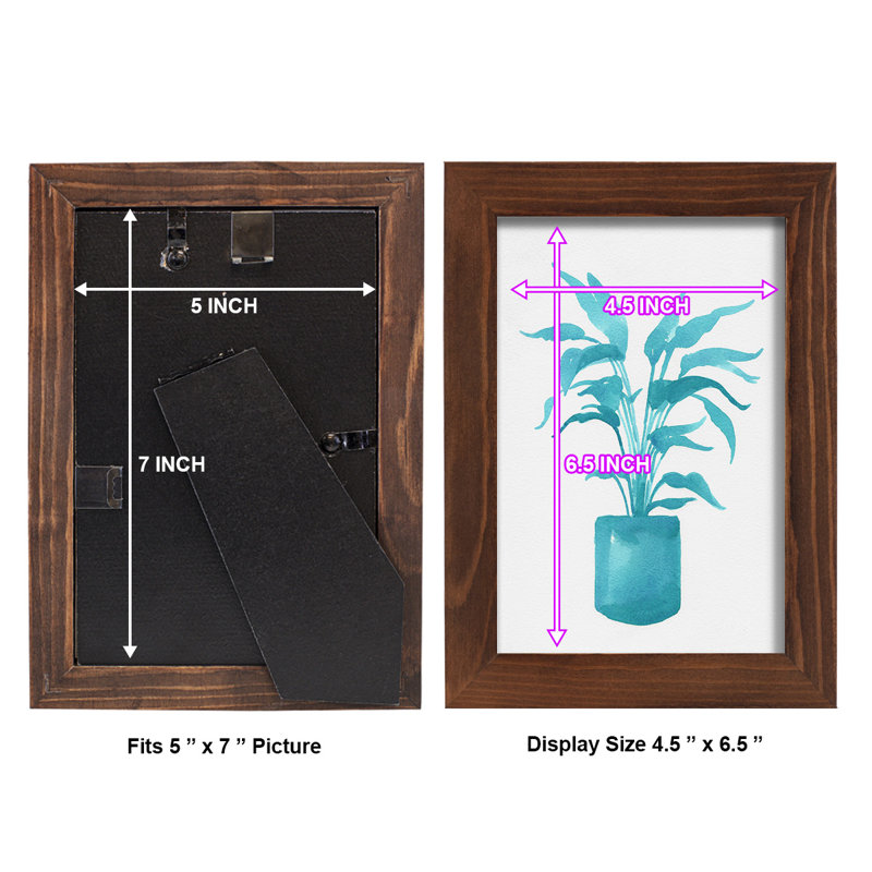 Watercolor House Plant IV - Impression encadrée avec verre, L 4 po x H 6 po x P 1 po, Cadre châtaignier