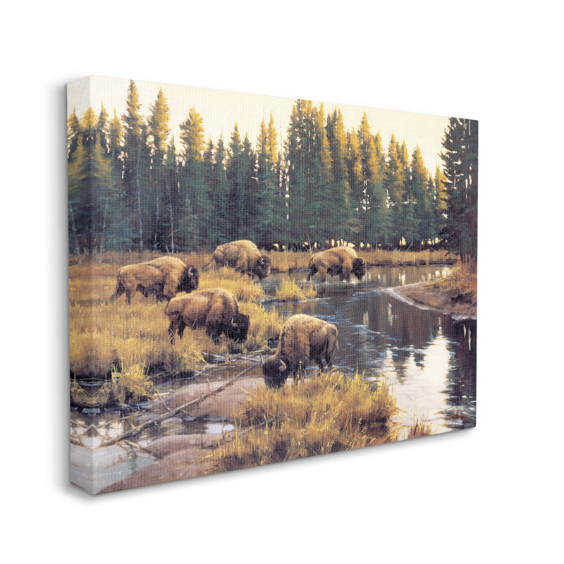 «Au-893», toile Bison qui broute le long d'un ruisseau sur toile par Paco Young, peinture, H 16 po x l 20 po x P 1,5 po