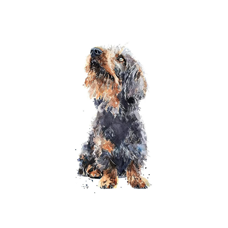 Wirehaired Dachshund II - Painting on Canvas, Wrapped Canvas, 30.48 cm H x 45.72 cm W