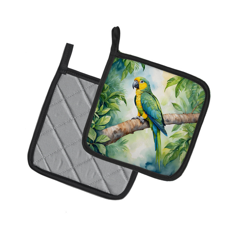 Paire de porte-casseroles Yellownaped Amazon