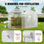 Walk-in Tunnel Greenhouse Galvanized Frame PE Cover-187925678-187925679