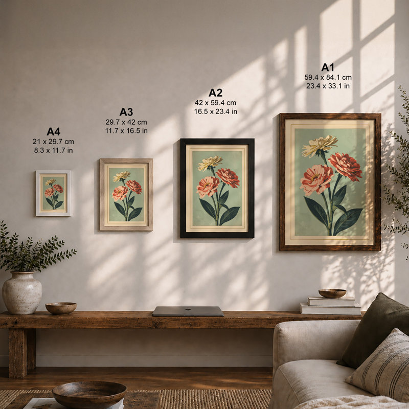 Carnation Arrangement Botanical - Framed Print, A1 - 84.1 x 59.4 cm, White