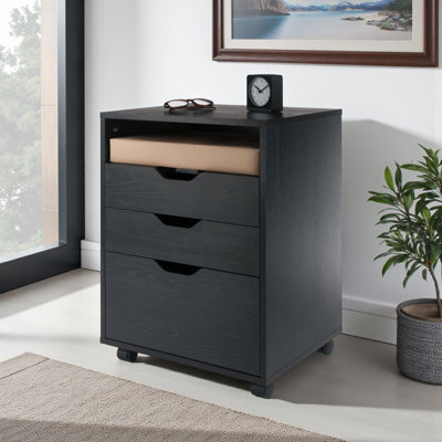Peres Bins & Drawers Storage Mobile Cabinet by Ebern Designs