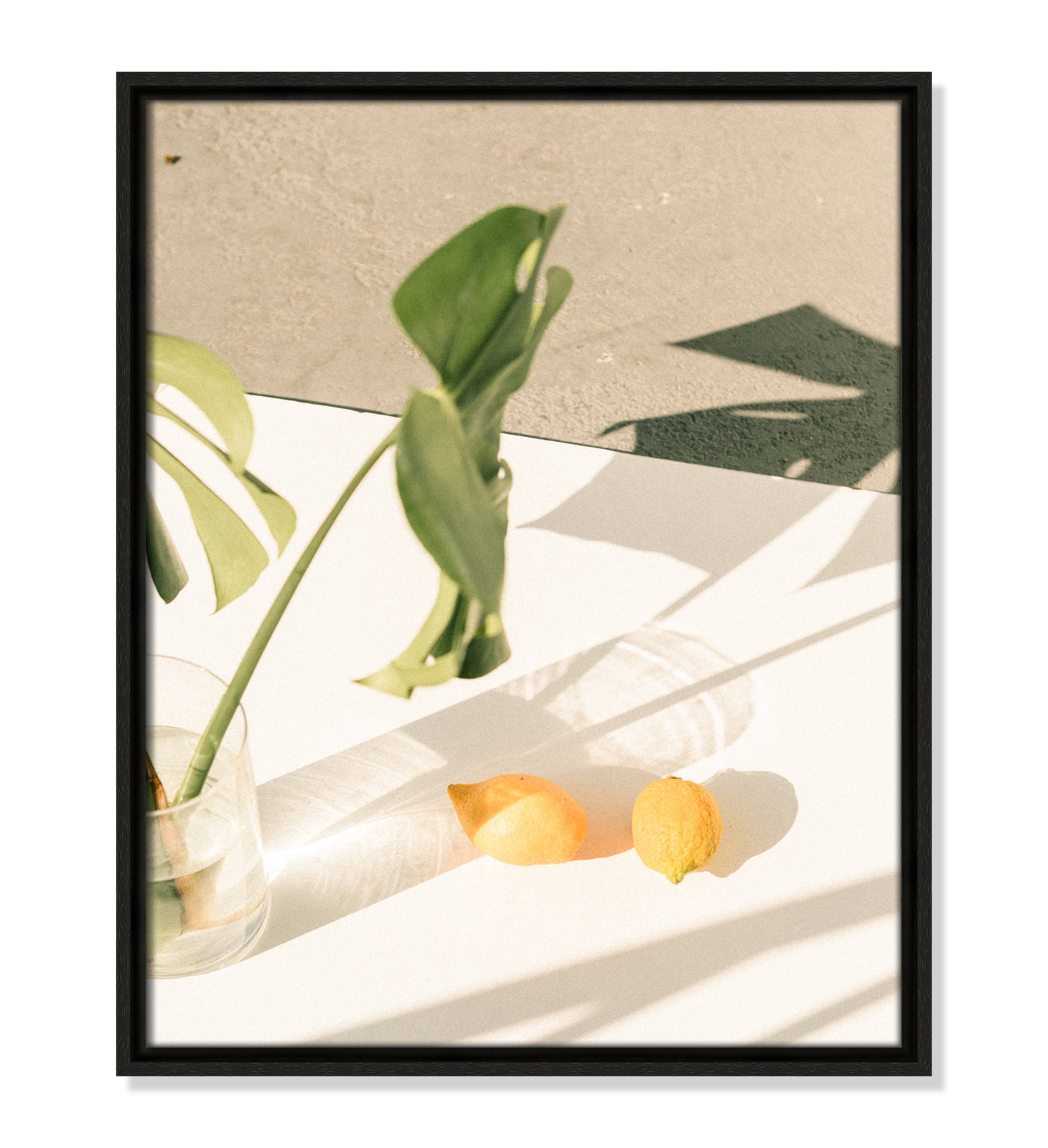 Citrus and Palms Print, Espresso Framed, 21.5'' H x 17.5'' W x 2'' D