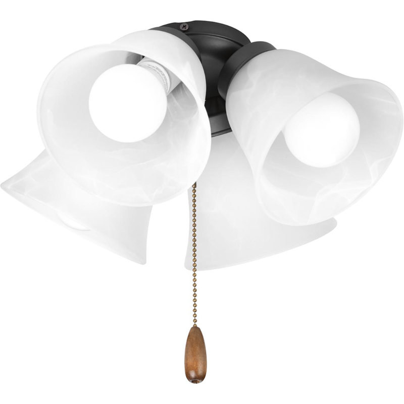 Ensemble de 4 lumières pour ventilateur de plafond universel à 4 lumières, Graphite