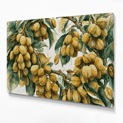 «Fruit Longan Brown», art mural sur toile