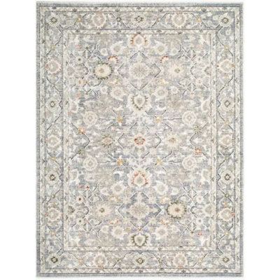 Lausanne Oriental Area Rug