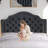 Linen Upholstered Bed with Adjustable Headboard and Button Tufting-2048083839-2048083838