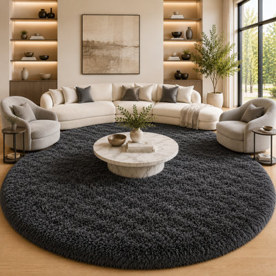 5x5 ft Charcoal Gray Round Rug for Bedroom Room Fluffy Circle Rug Furry Carpet Shaggy Circular Fuzzy Washable Non-Slip Large Area Rug Soft Indoor for Living Room Cute Aesthetic Home Decor