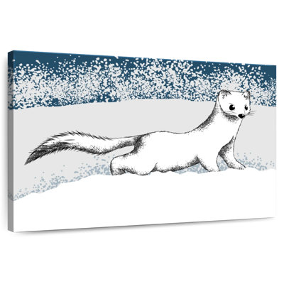 Crowle Ermine In Winter