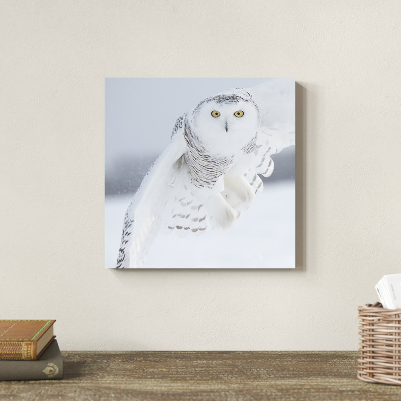 Hibou en vol I, H 12 po x l 12 po x P 1,25 po