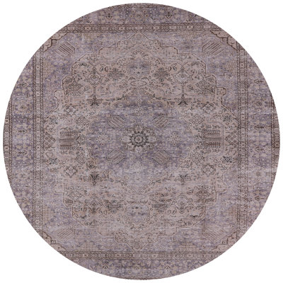 Oriental Indoor Rug