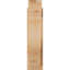 Sapin Douglas Douglas, l 6 po x P 20 po x H 24 po-31641798-31648889