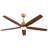 Ceiling Fan With Remote Control-13453664