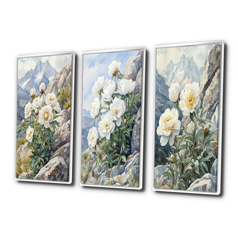 Pivoines par The Rocky Slope I - Collection de reproductions sur toiles florales, H 28 po x l 36 po, Blanc
