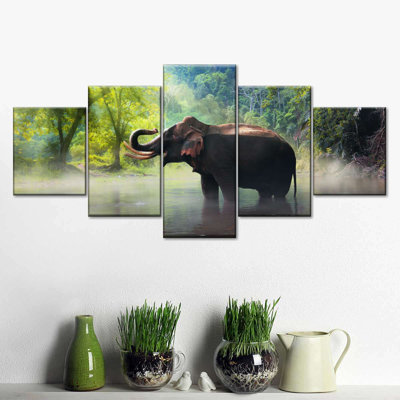 " Wild Elephant " 5 - Pieces