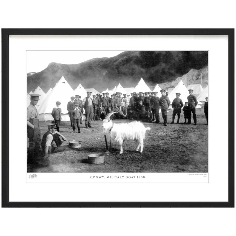 Conwy, Military Goat 1908 - Single Picture Frame Print, 28cm H x 36cm W x 2.3cm D