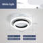 Thissell 1-Light 20cm Flush Mount Ceiling Light-1781426603