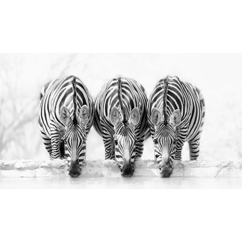 Wrapped Canvas Print, 50.8 cm H x 76.2 cm W