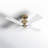 56'' Ceiling Fan-451094060