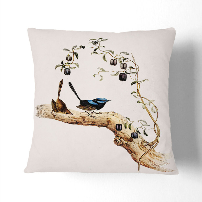 Long-Tailed Wrens by Elizabeth Gould Cushion with Filling, 40cm H x 40cm W x 15cm D, Stone