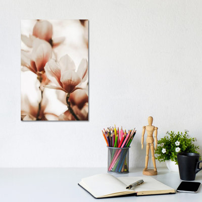Magnolia Peach I 1 Piece Wrapped Canvas Wall Art