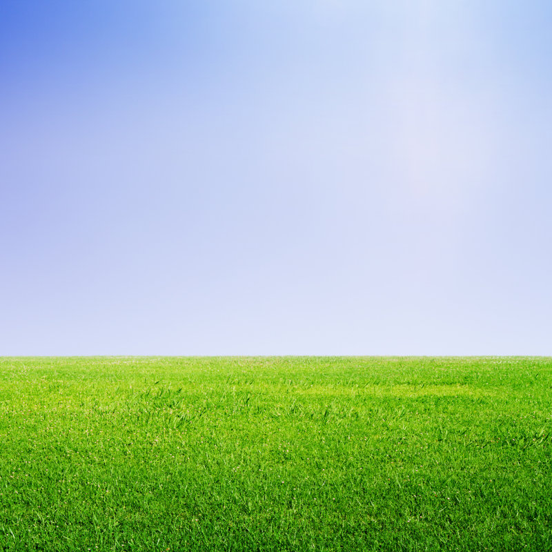 Grass And Sky by Peshkov - Wrapped Canvas Print, 30cm H x 30cm W
