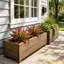 Agave artificielle-305410914-310408673