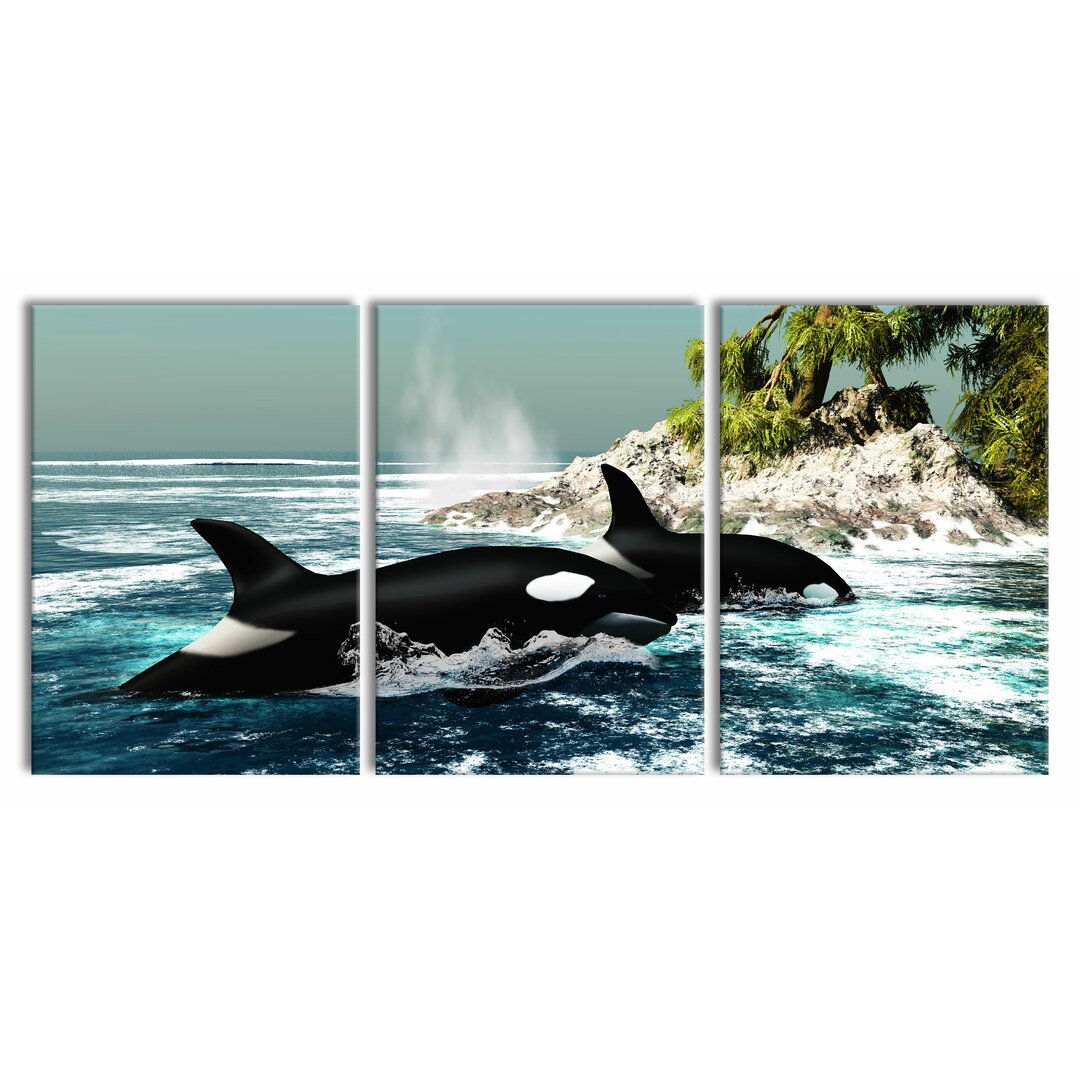 3-tlg. Leinwandbilder-Set Orcas vor Insel