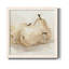 White Pear Study II - reproduction d'art sur toile encadrée-62718596-62718595